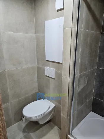 Pronájem bytu 1+kk, Praha - Podolí, Kaplická, 25 m2