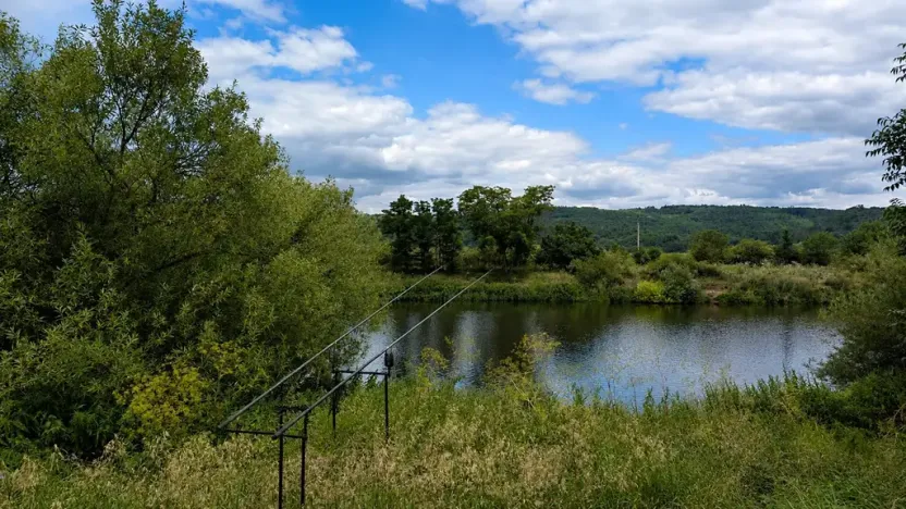 Prodej zahrady, Všenory, 174 m2