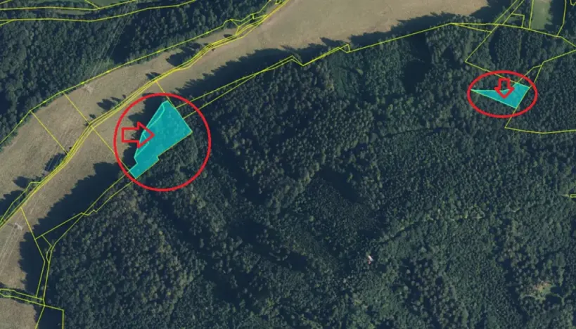 Prodej lesa, Velké Losiny, 7690 m2