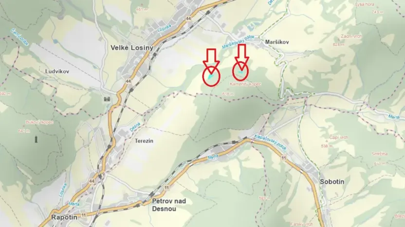 Prodej lesa, Velké Losiny, 7690 m2