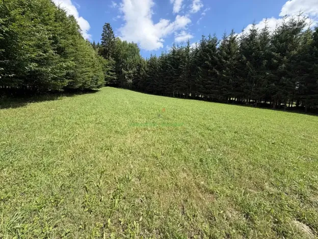 Prodej pozemku pro bydlení, Nový Hrozenkov, 8167 m2