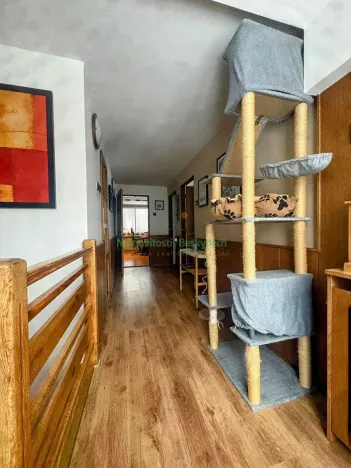 Prodej rodinného domu, Ostravice, 320 m2