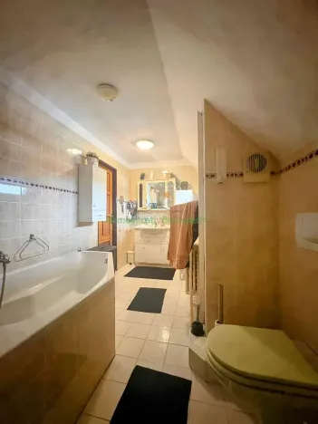 Prodej rodinného domu, Ostravice, 320 m2