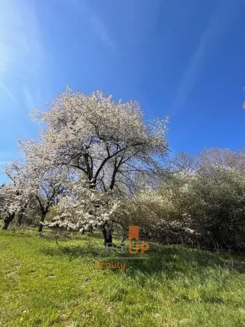 Prodej pozemku pro bydlení, Rožmitál na Šumavě, 7156 m2