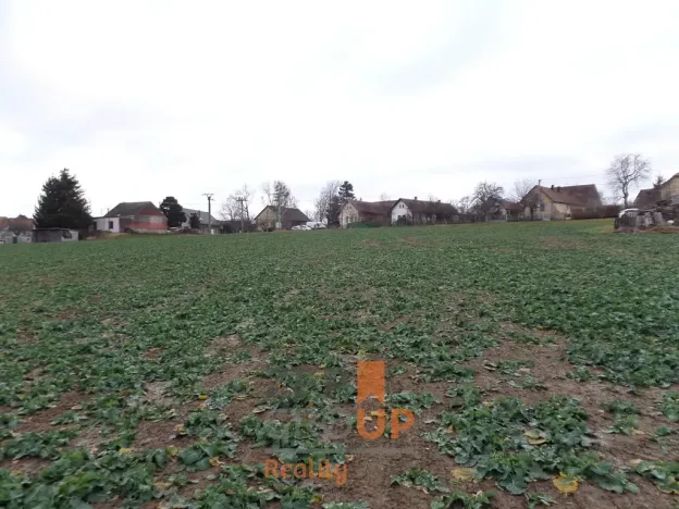 Prodej pozemku pro bydlení, Heřmanův Městec, 13343 m2