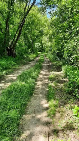Prodej rybníku, Bulhary, 350 m2