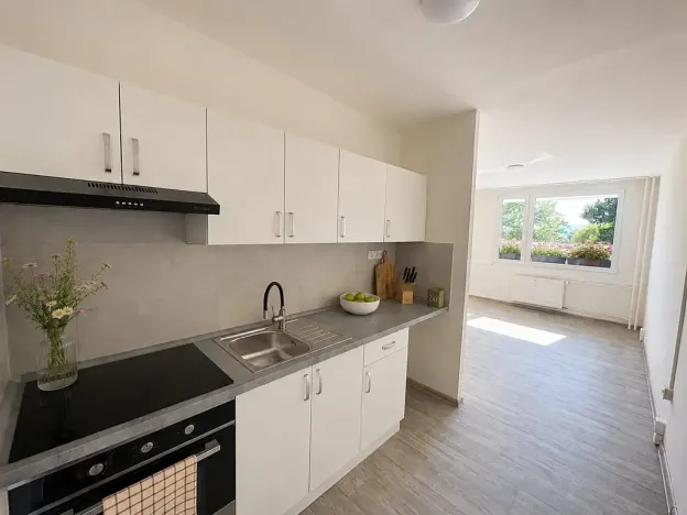 Pronájem bytu 2+1, Litvínov, Podkrušnohorská, 40 m2