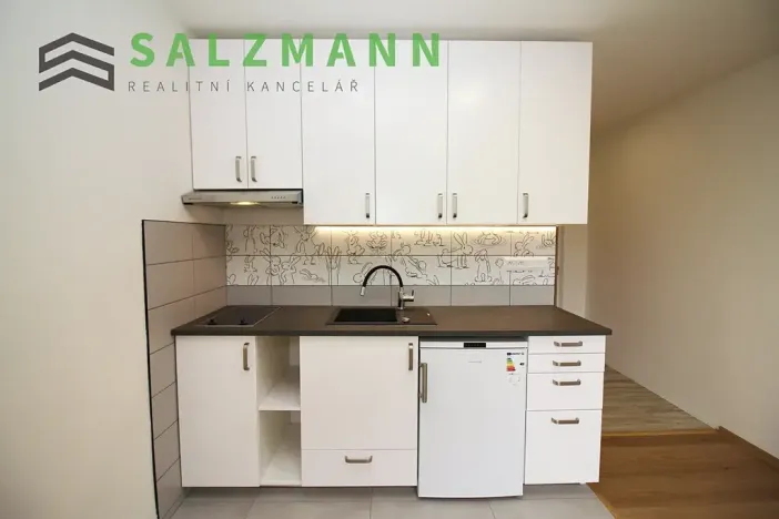 Pronájem bytu 1+kk, Dolní Bělá, 2 m2