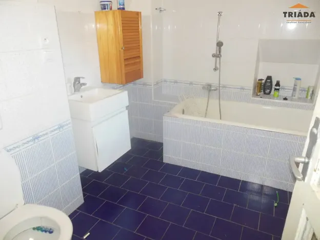 Prodej vícegeneračního domu, Turnov, Antonína Dvořáka, 320 m2