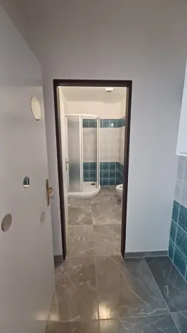 Pronájem bytu 2+kk, Plzeň, Bělohorská, 57 m2