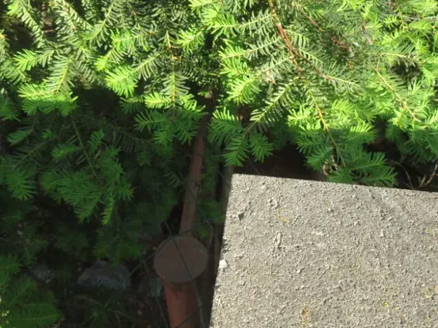 Dražba rodinného domu, Králův Dvůr, Bohumila Hájka, 219 m2