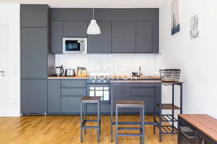 Pronájem bytu 1+kk, Praha - Žižkov, U Viktorie, 40 m2