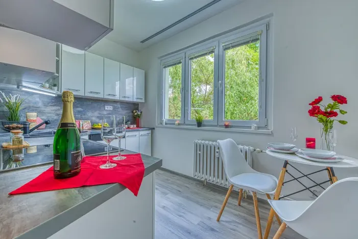 Pronájem bytu 2+1, Chomutov, Blatenská, 52 m2