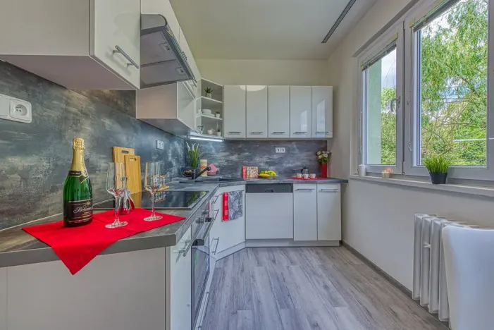 Pronájem bytu 2+1, Chomutov, Blatenská, 52 m2