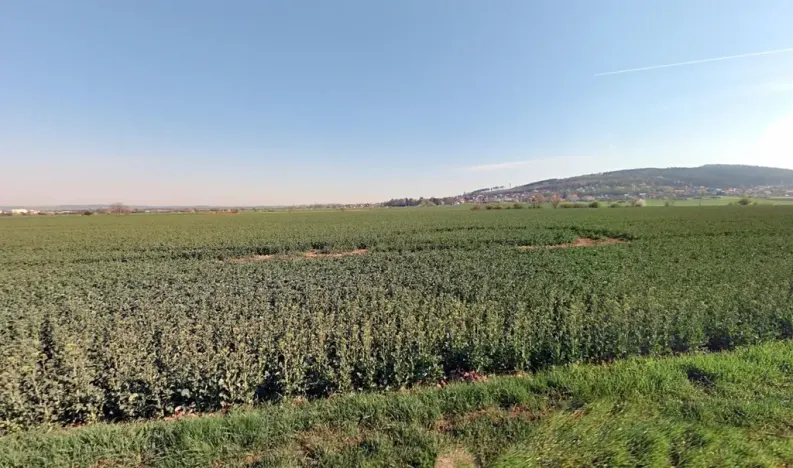 Prodej podílu pozemku pro bydlení, Martinice, 1521 m2