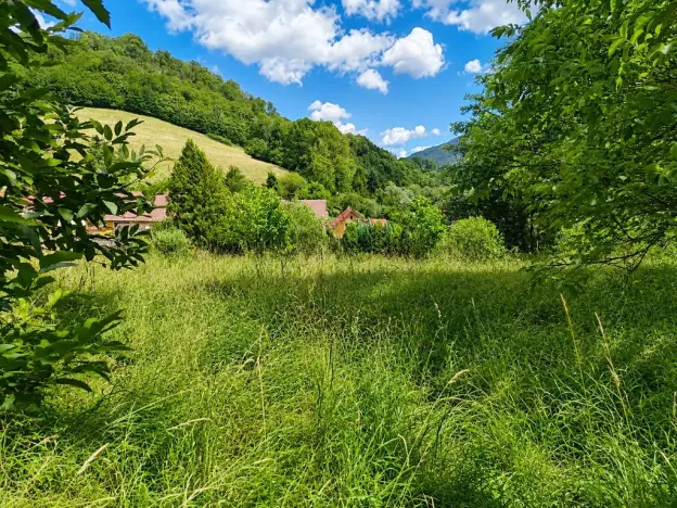 Prodej rodinného domu, Stráž nad Ohří, 200 m2