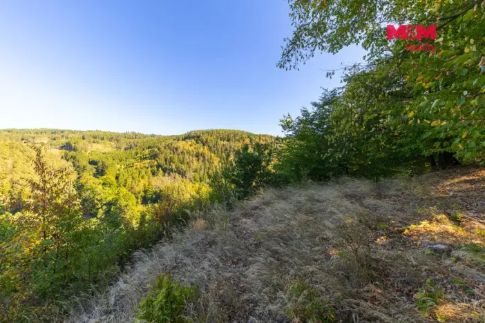 Prodej lesa, Lomnice, 7450 m2