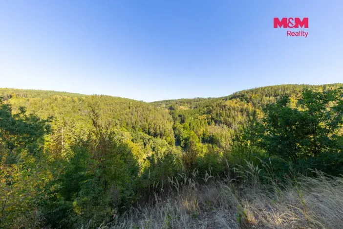 Prodej lesa, Lomnice, 7450 m2