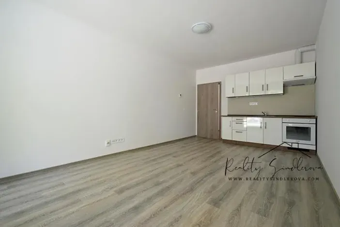 Pronájem bytu 1+kk, Olomouc, Frištenského, 32 m2