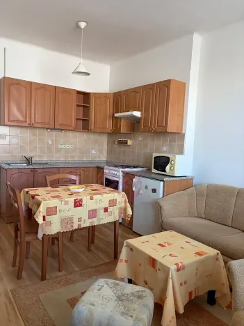Pronájem bytu 1+1, Praha - Žižkov, Jana Želivského, 51 m2