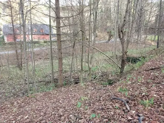 Prodej pozemku, Zlaté Hory, 384 m2