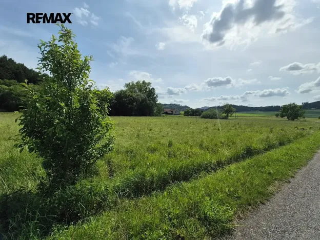 Prodej komerčního pozemku, Linhartice, 12284 m2