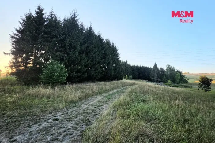 Prodej zahrady, Bělá nad Radbuzou, 6001 m2
