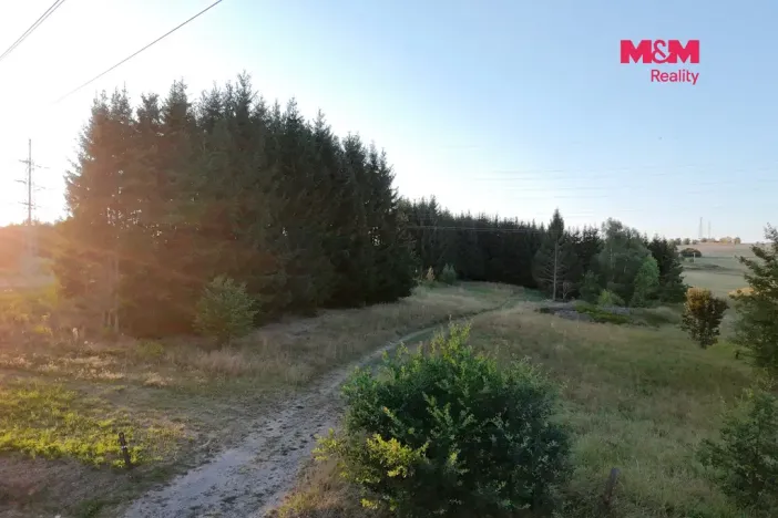 Prodej zahrady, Bělá nad Radbuzou, 6001 m2