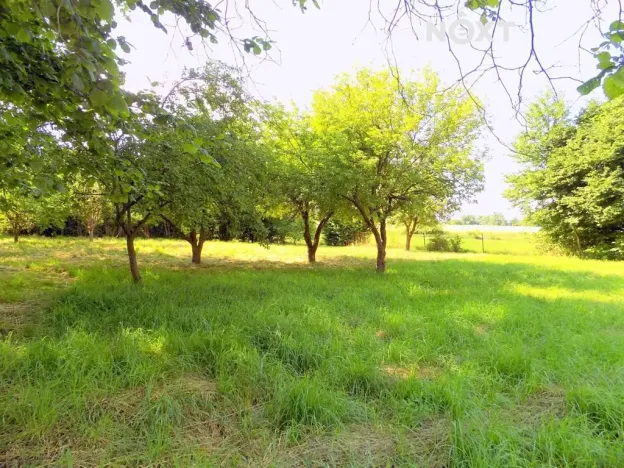 Prodej pozemku pro bydlení, Žandov, 1183 m2