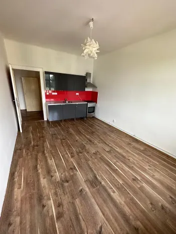 Pronájem bytu 2+kk, Praha - Žižkov, Hartigova, 56 m2