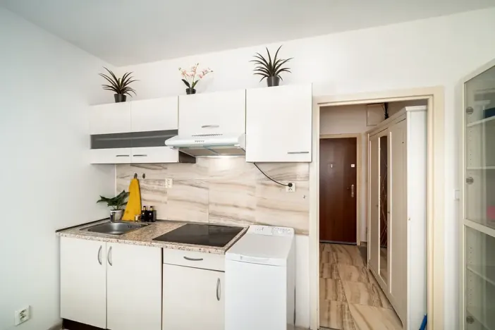 Prodej bytu 1+kk, Praha, Štúrova, 20 m2