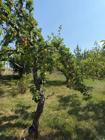 Prodej rodinného domu, Kostelany, 107 m2