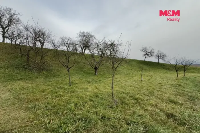 Prodej zahrady, Bezuchov, 901 m2