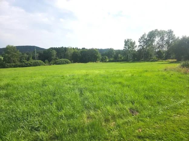 Prodej - jiné, Šluknov, 40 m2