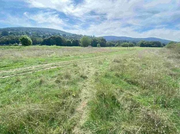 Dražba louky, Všenory, 672 m2