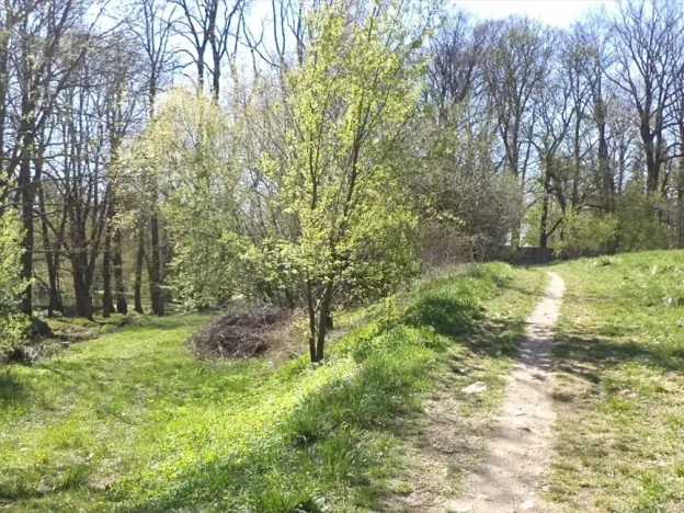 Dražba pozemku, Dačice, 326 m2