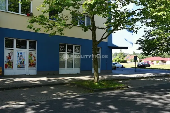 Pronájem obchodního prostoru, Strakonice, Vodní, 71 m2
