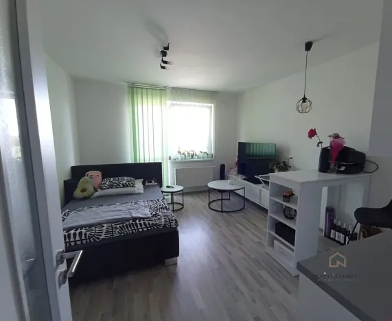 Pronájem bytu 1+kk, Plzeň - Bolevec, Studentská, 28 m2