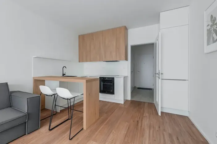 Pronájem bytu 1+kk, Praha - Karlín, Pernerova, 30 m2