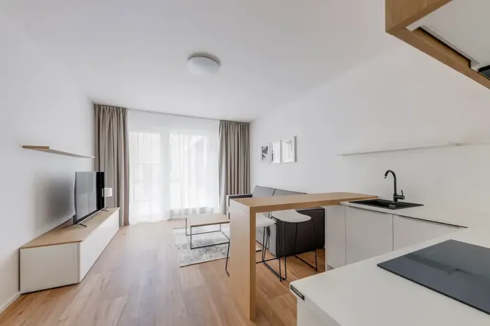Pronájem bytu 1+kk, Praha - Karlín, Pernerova, 30 m2