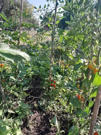 Prodej pozemku pro bydlení, Protivín, 1134 m2