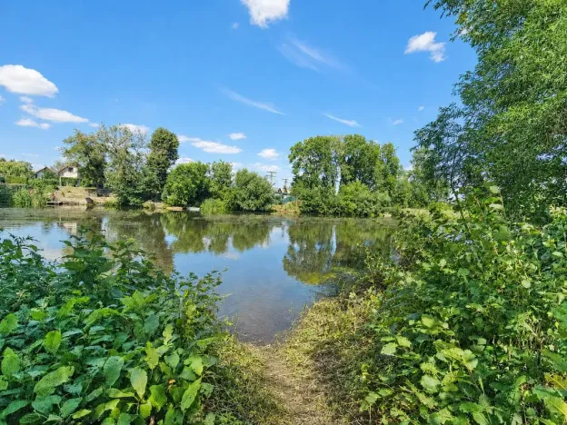 Prodej chaty, Křesín - Levousy, 38 m2