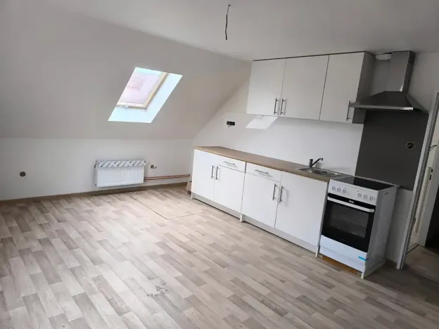 Prodej vícegeneračního domu, Běleč, Dukelská, 470 m2