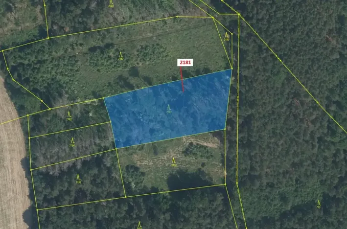 Dražba lesa, Louňovice pod Blaníkem, 4236 m2