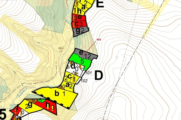 Dražba lesa, Puklice, 4900 m2