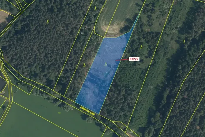 Dražba lesa, Přílepy, 7060 m2