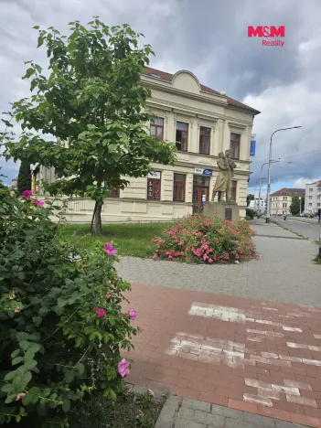 Pronájem obchodního prostoru, Olomouc - Nová Ulice, Litovelská, 20 m2