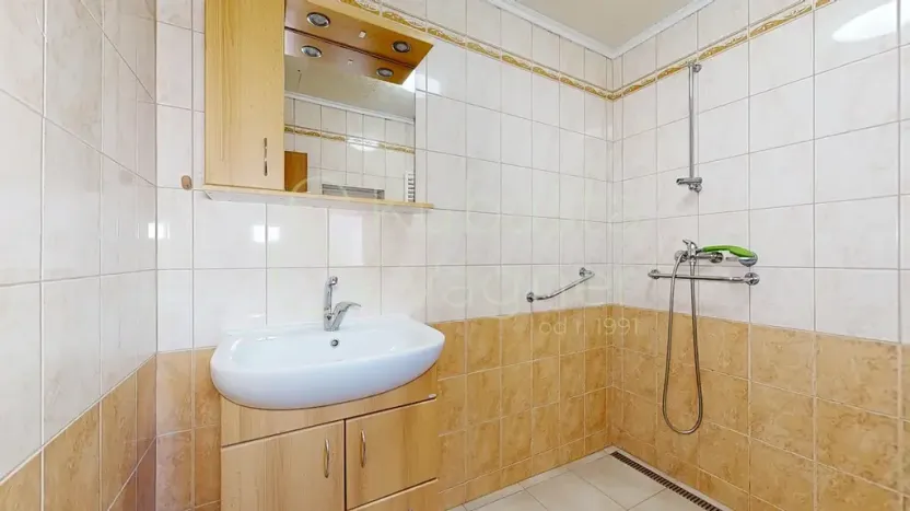 Prodej rodinného domu, Borohrádek, Čapkova, 166 m2