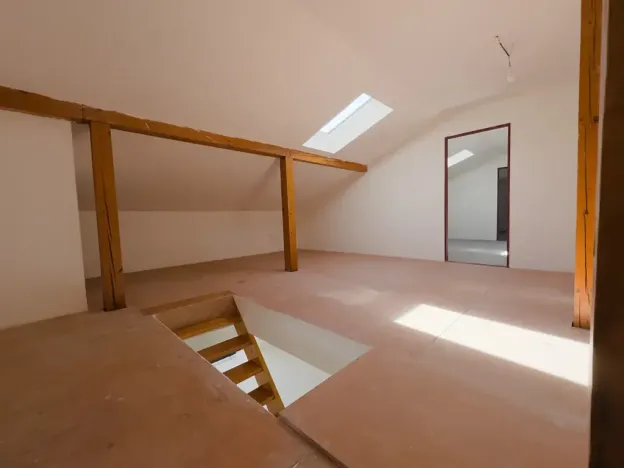 Prodej obchodního prostoru, Ostrava, Mitrovická, 251 m2