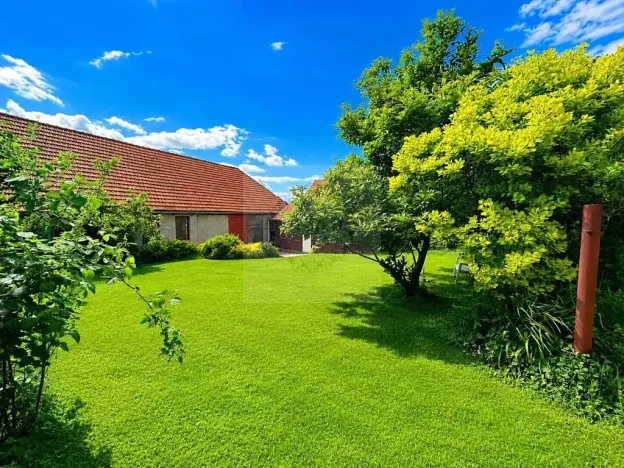 Prodej rodinného domu, Lipovec, 4500 m2